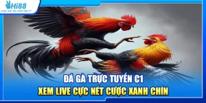 38.da ga truc tuyen c1 – xem live cuc net cuoc xanh chin 1